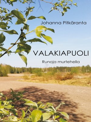 cover image of Valakiapuoli